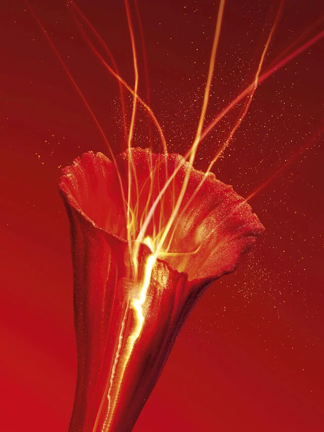 A vibrant, abstract depiction of a flower with a red background, featuring glowing lines that emerge from the center, creating a dynamic and energetic effect.