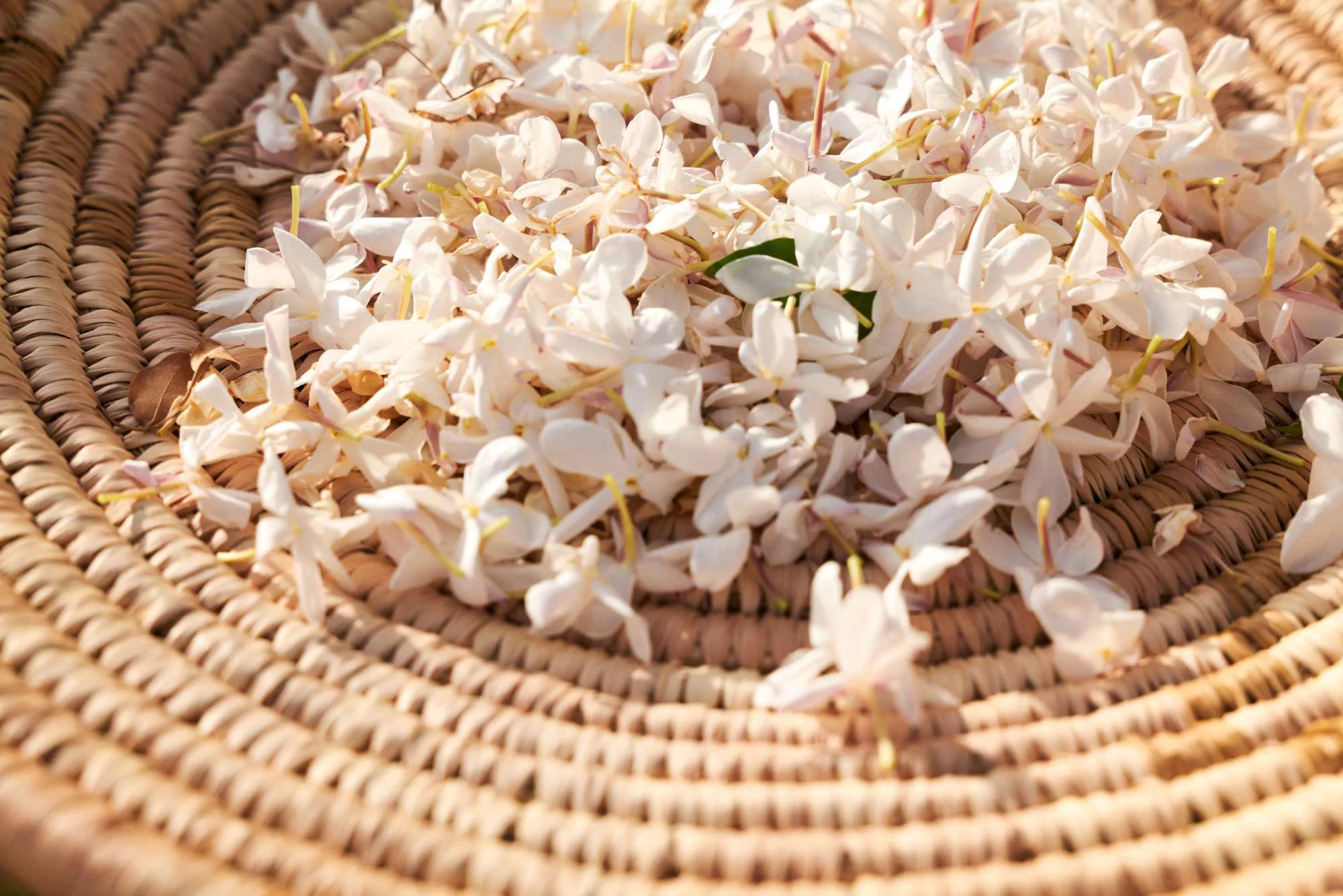 Texte alternatif : Un plat en osier rempli de fleurs blanches et roses, delicatement disposees.