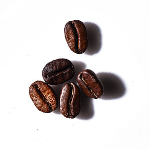 Five dark roast coffee beans arranged on a white background, casting soft shadows.