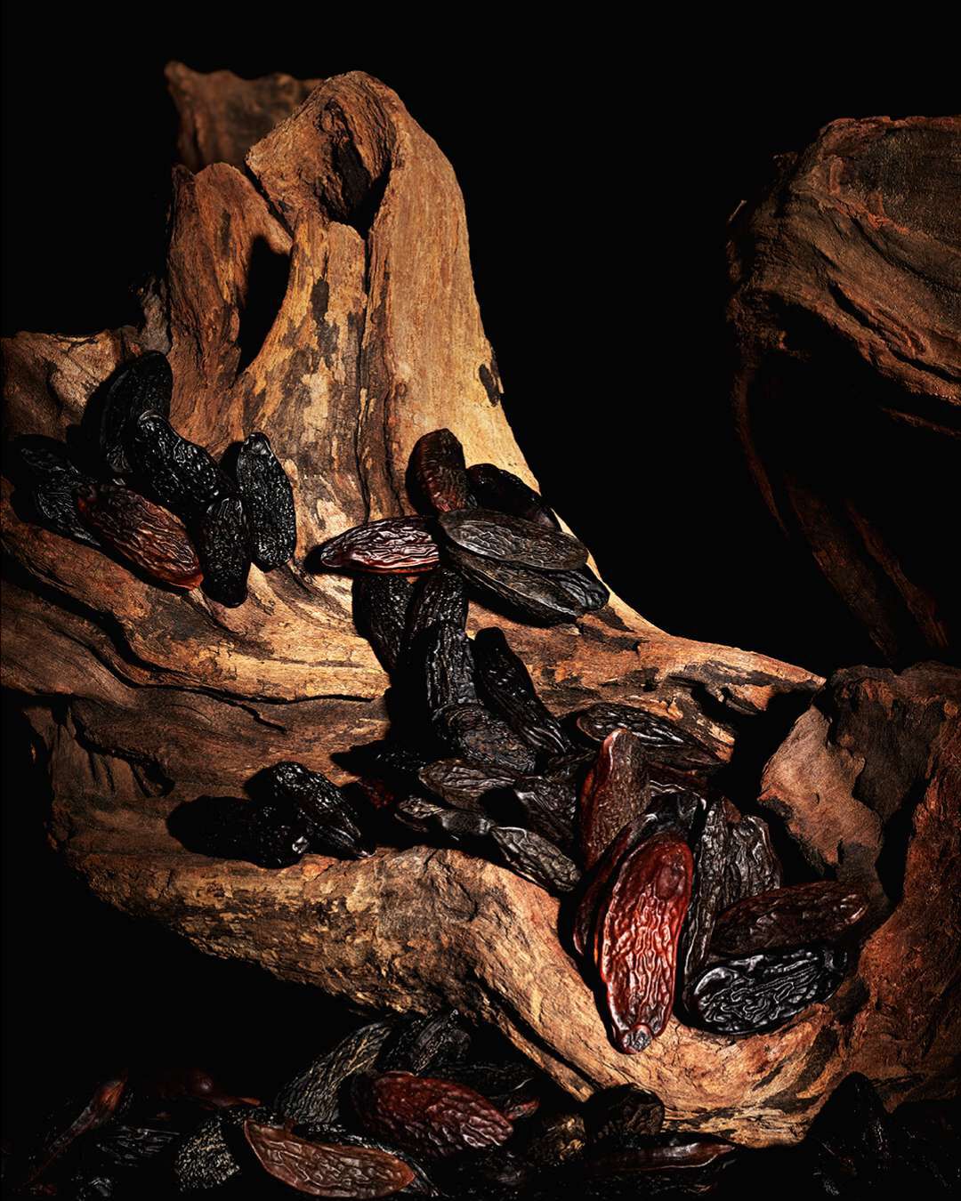 A close-up of cacao pods and seeds resting on a textured, dark wooden surface, with dramatic lighting highlighting their shapes and colors.