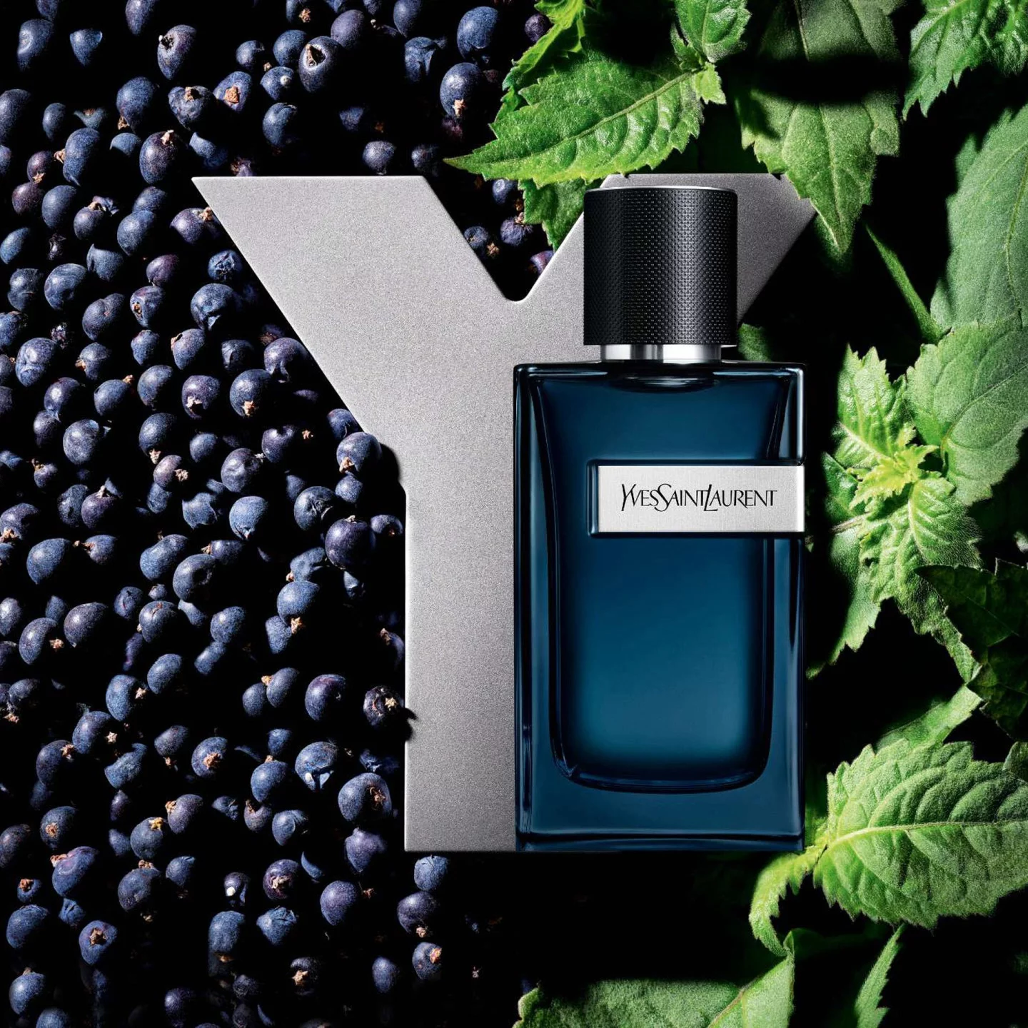 A bottle of Yves Saint Laurent Y perfume is placed on a bed of dark berries and green leaves, with a large metallic letter "Y" in the background.