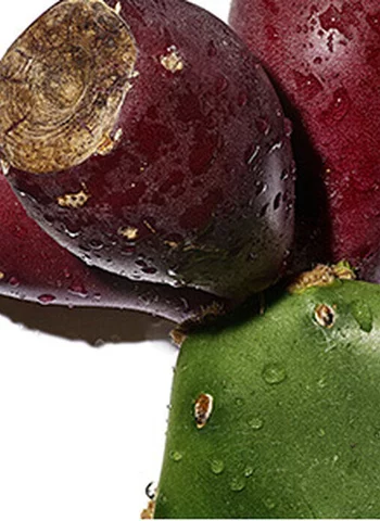 Des fruits de cactus rouges et verts, avec une texture lisse et des gouttes d'eau sur la surface.