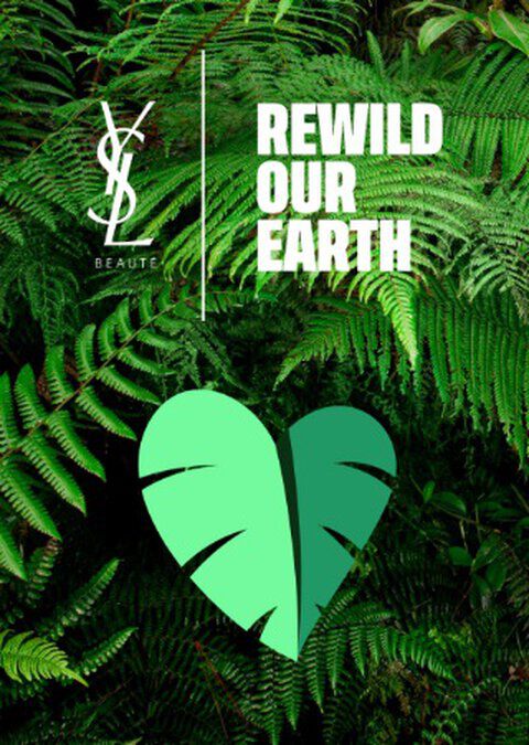 Texte alternatif : Image representant des fougeres avec le texte "REWILD OUR EARTH" a gauche et un coeur stylise, symbolisant la nature, a droite.