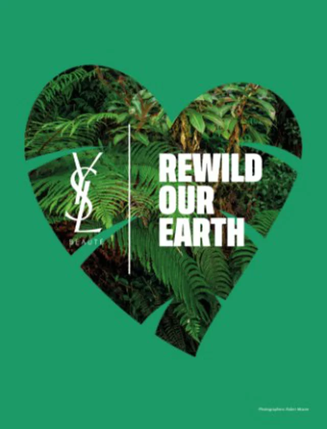 Image d'un coeur vert avec le texte "REWILD OUR EARTH" en blanc, sur un fond vert, accompagnee du logo YSL.