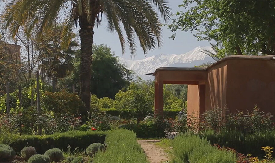 A sunny garden pathway surrounded by lush greenery leads to a view of snow-capped mountains in the background.