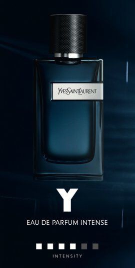 ysl y intense 100ml