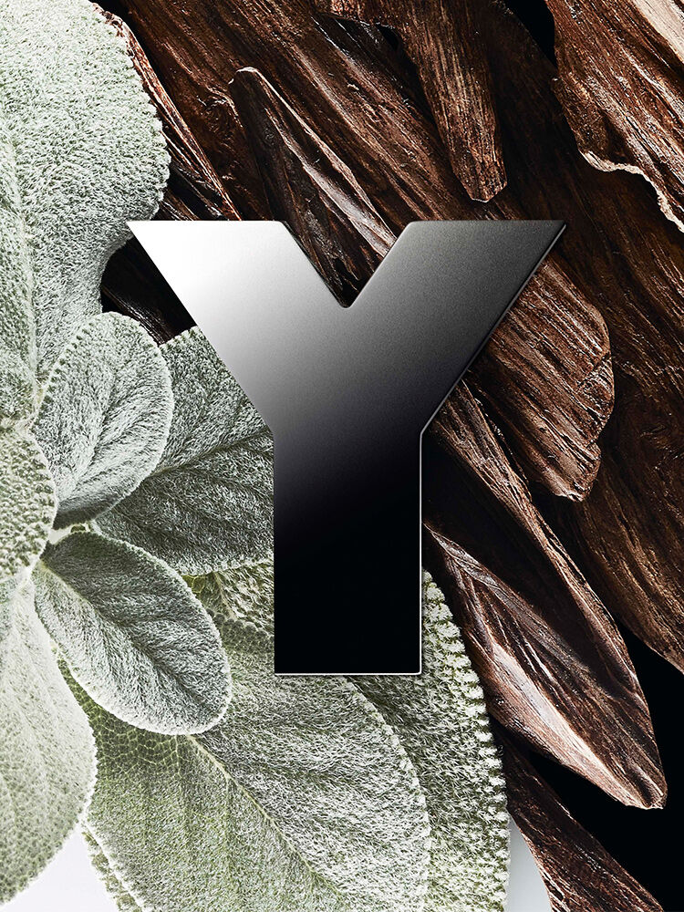 Y Eau de Parfum