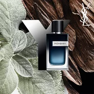Duo Y + Recharge 150ML