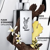 MYSLF L'ABSOLU