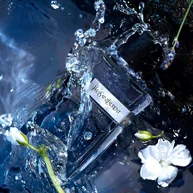 Y Eau De Toilette