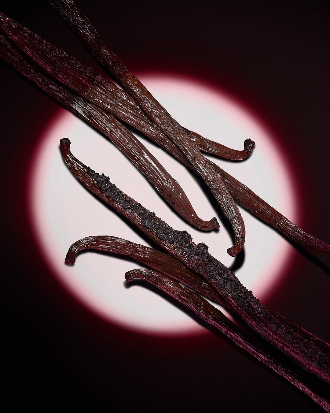 Gros plan sur des gousses de vanille sombres, mises en lumière par un halo circulaire rose sur fond sombre.