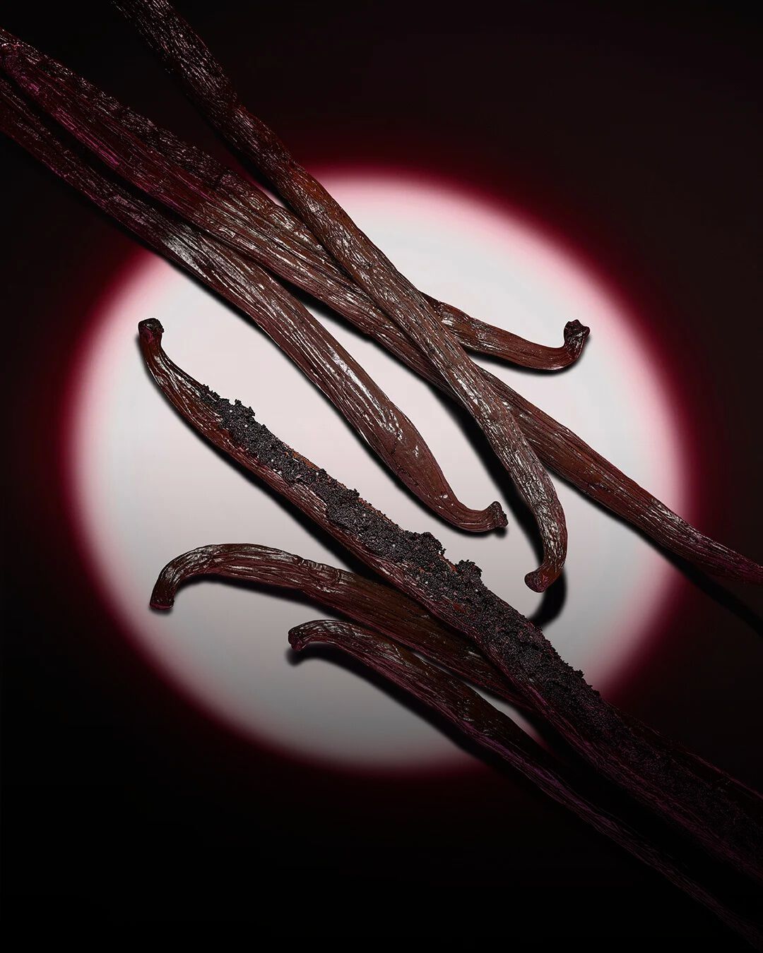 Gros plan sur des gousses de vanille sombre, mises en lumière par un halo circulaire rose sur fond sombre.