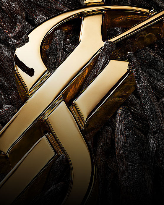 Vue détaillée de gousses de vanille noire texturées avec un emblème YSL doré brillant.