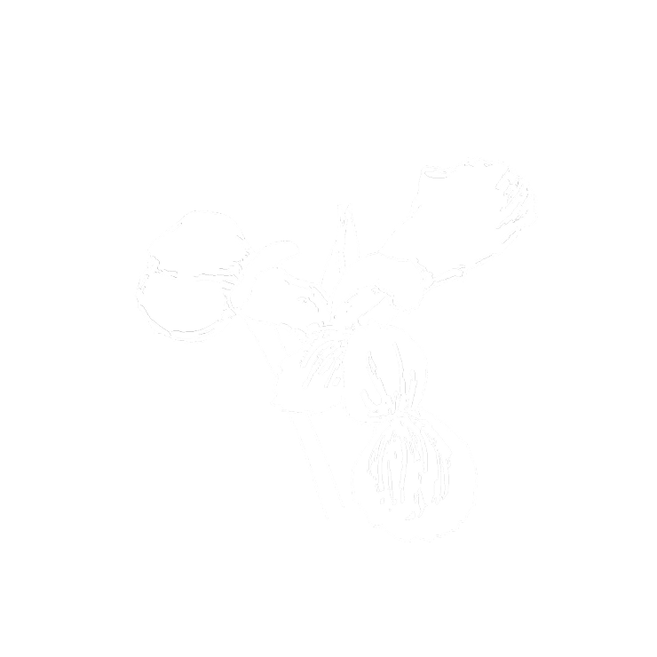 Icône élégante de beurre d’iris pour CŒUR
Eau de Parfum par YSL, représentant
les notes de cœur poudrées du parfum.