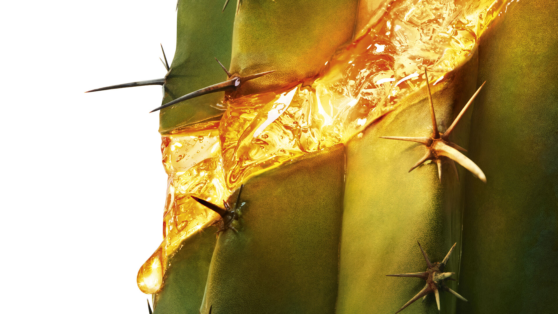 Cactus Moonlight avec sérum doré