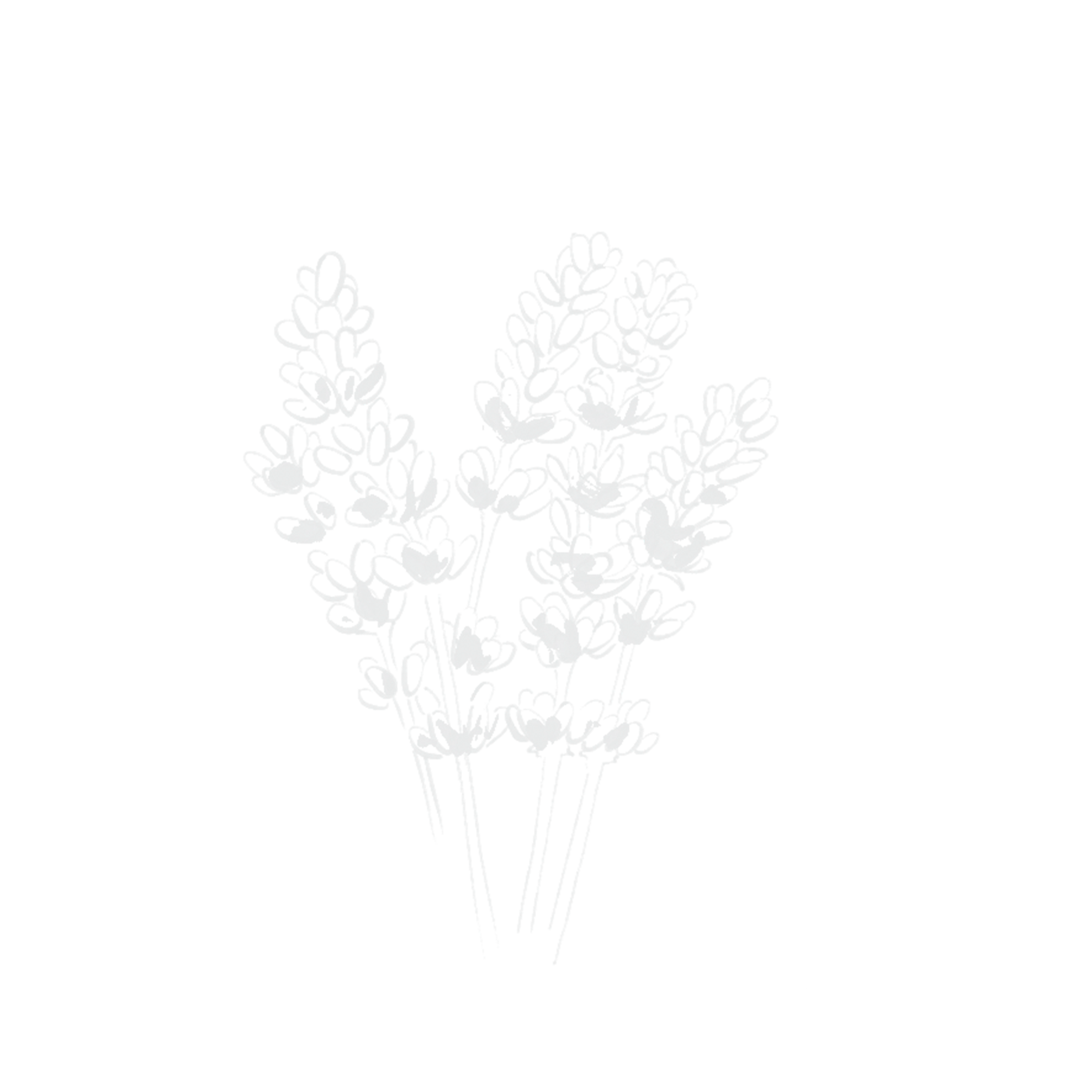 Abstract graphic representing the rich Ourika Saffron Accord, a
key ingredient in YSL Le Vestiaire des Parfums Extrait.